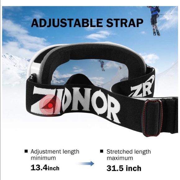 Zionor Accessories Zionor Lagopus Ski Snowboard Goggles Whitesilver